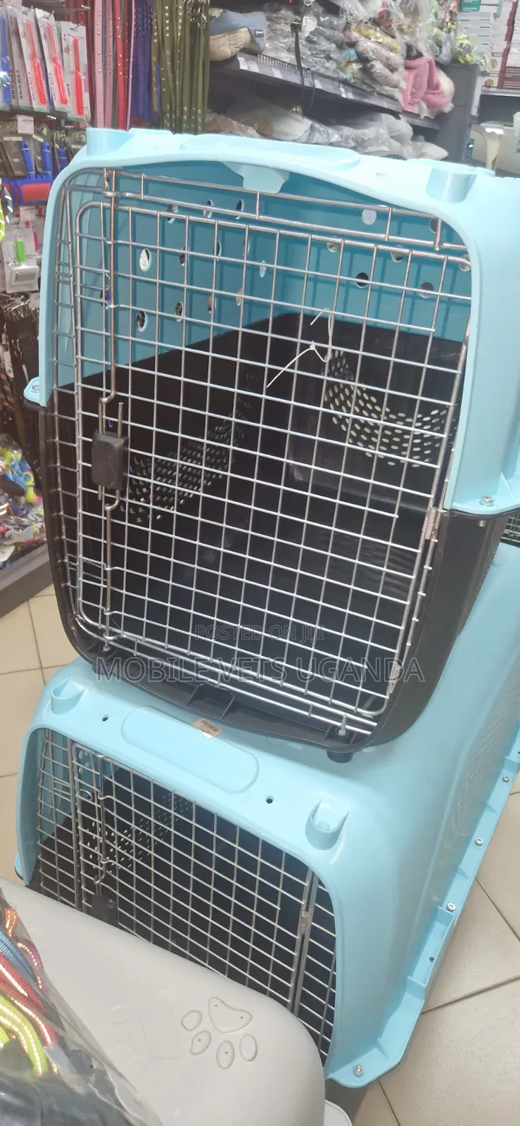 Dog Cages and Cats