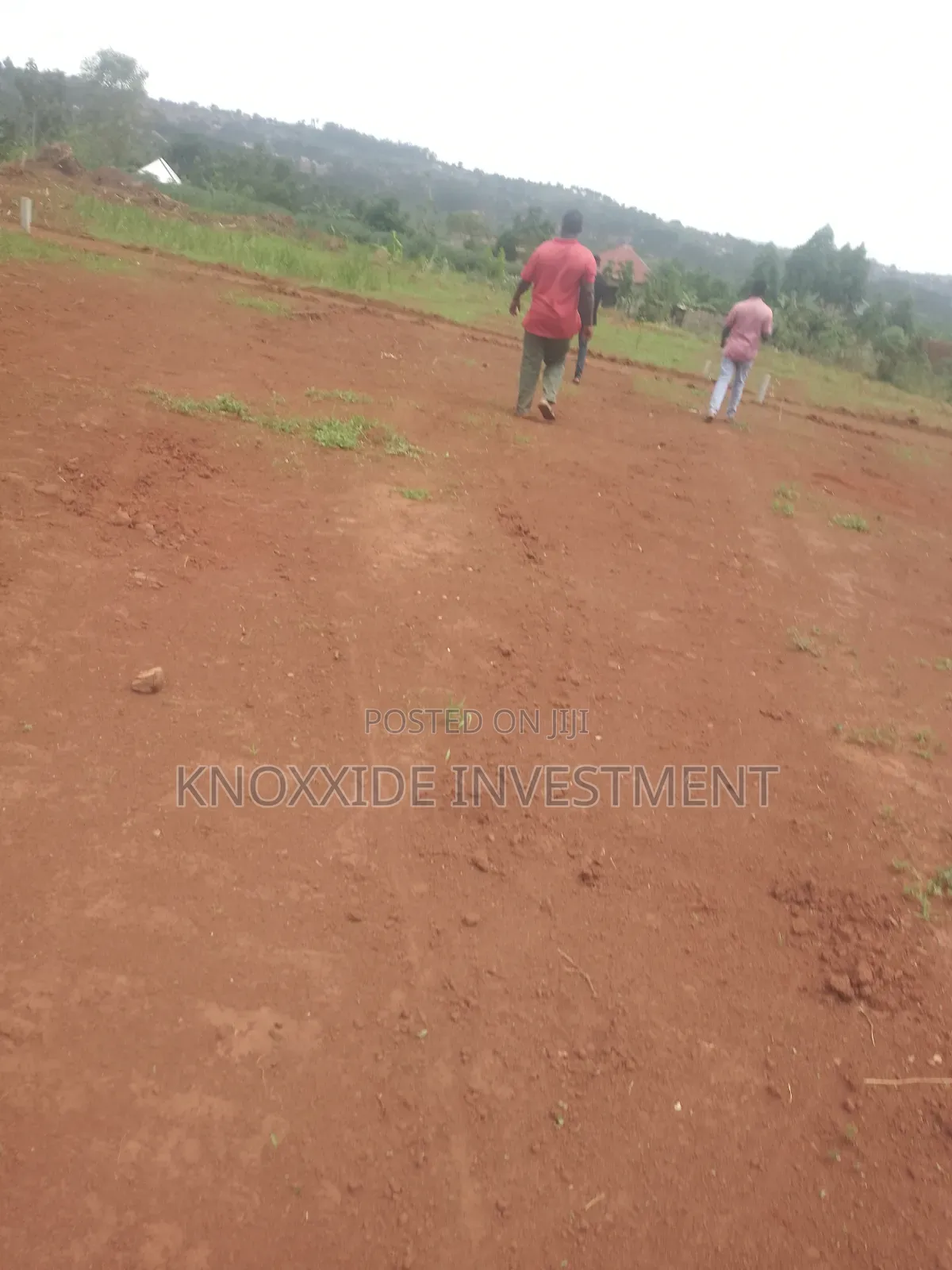 Land Sell 100x50ft at 20m Ugx Sentema Kawalira Ready Mailo Land
