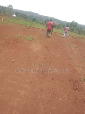 Land Sell 100x50ft at 20m Ugx Sentema Kawalira Ready Mailo Land