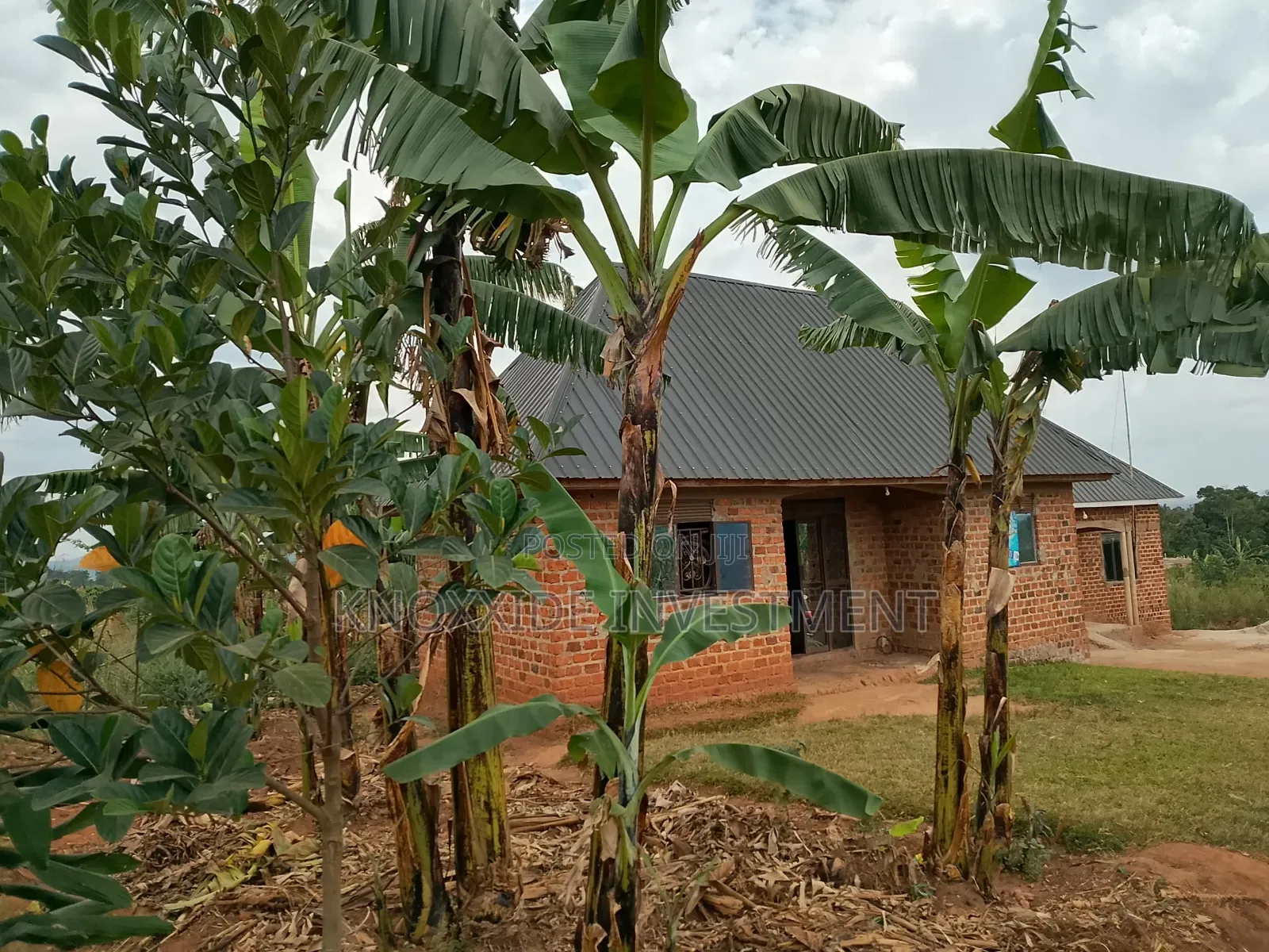 Land Sell 100x50ft at 20m Ugx Sentema Kawalira Ready Mailo Land