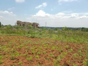 Land Sell 100x50ft at 20m Ugx Sentema Kawalira Ready Mailo Land