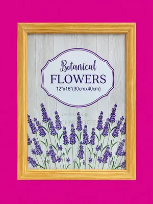 Document Frames Printing, Certificate, Photo Frames Boards A4 A3 A2