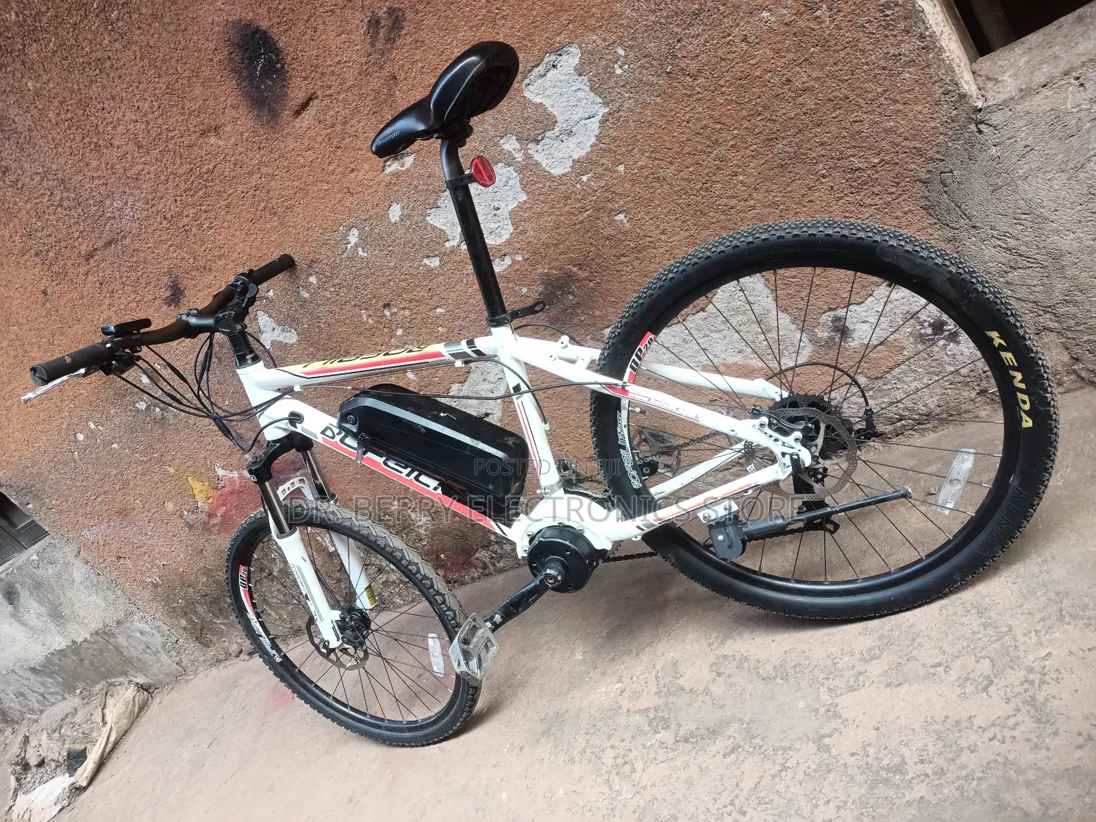 Bofeili Mid-Drive Electric Bike