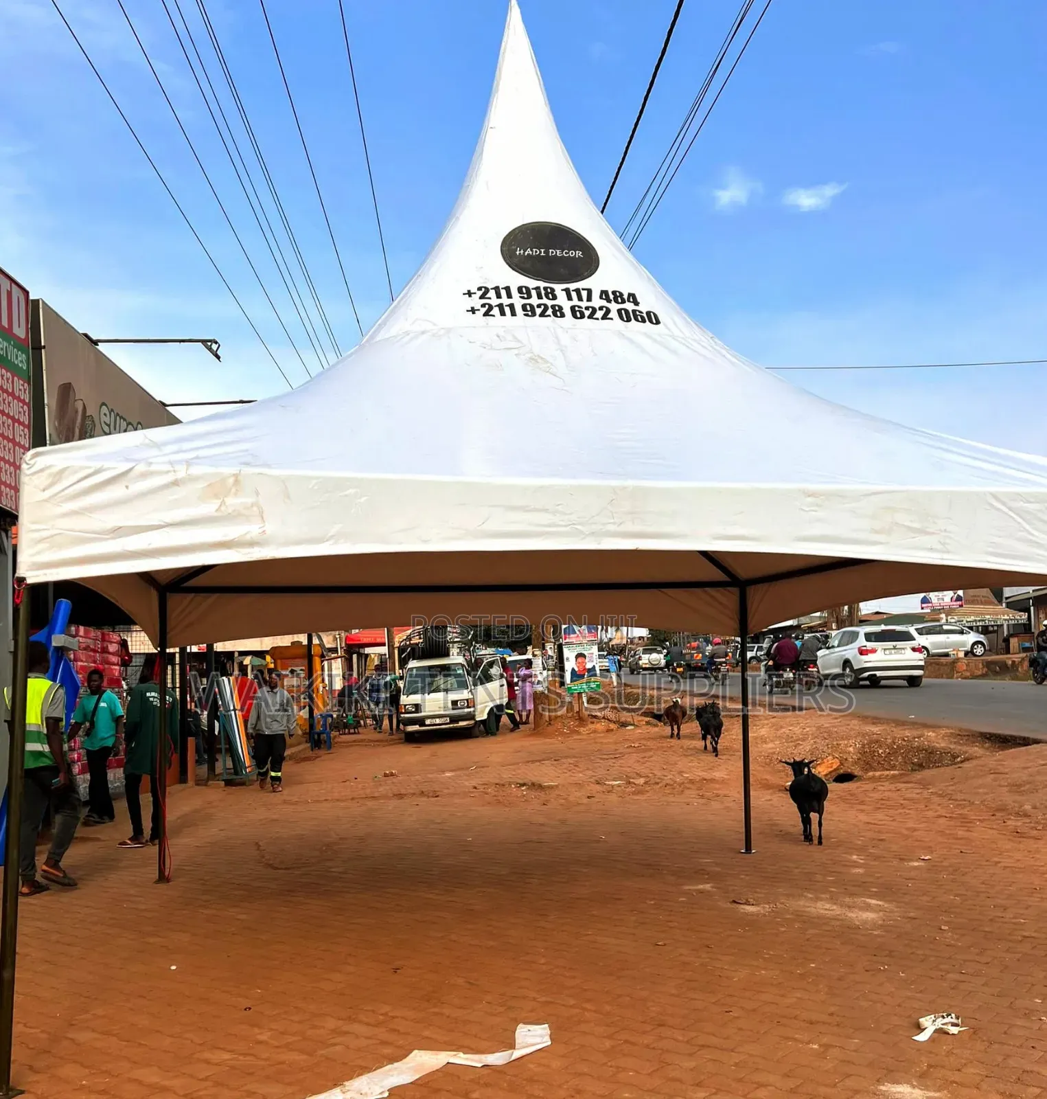 50 Seater Tent