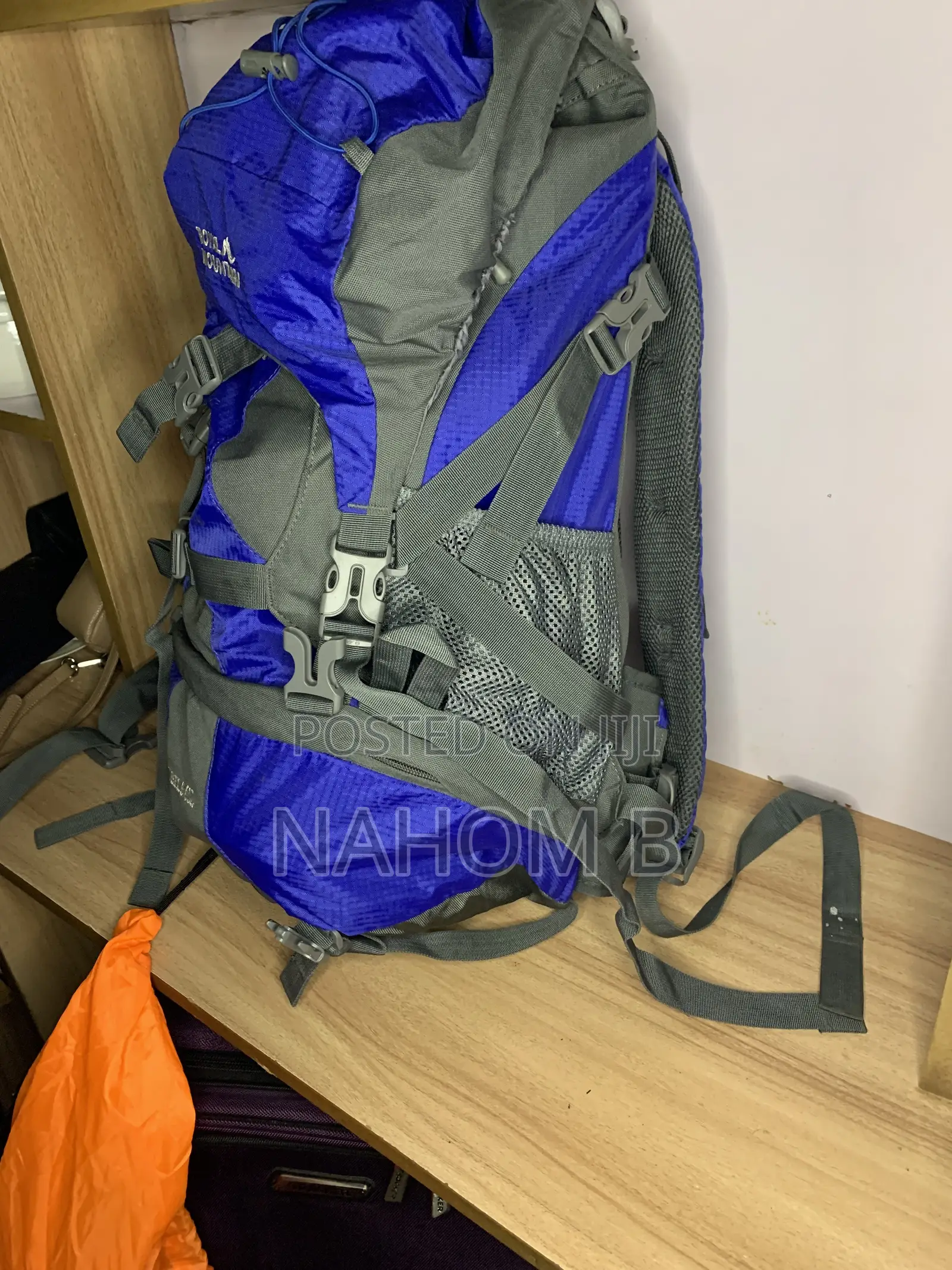 Blue and Gray Hiking Backpack