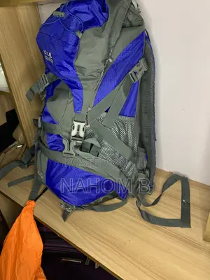 Blue and Gray Hiking Backpack