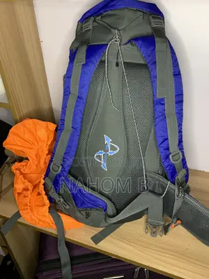 Blue and Gray Hiking Backpack