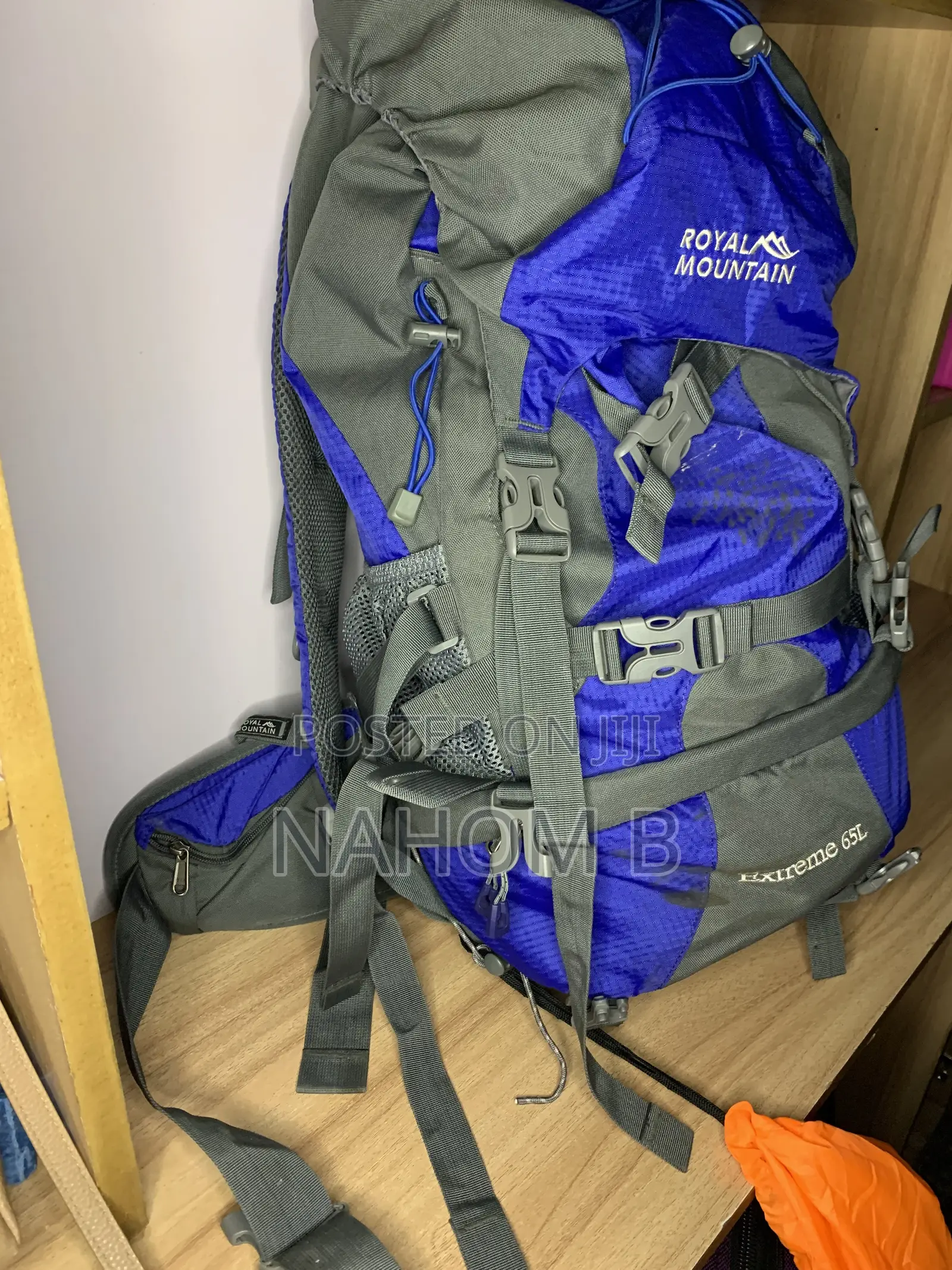 Blue and Gray Hiking Backpack