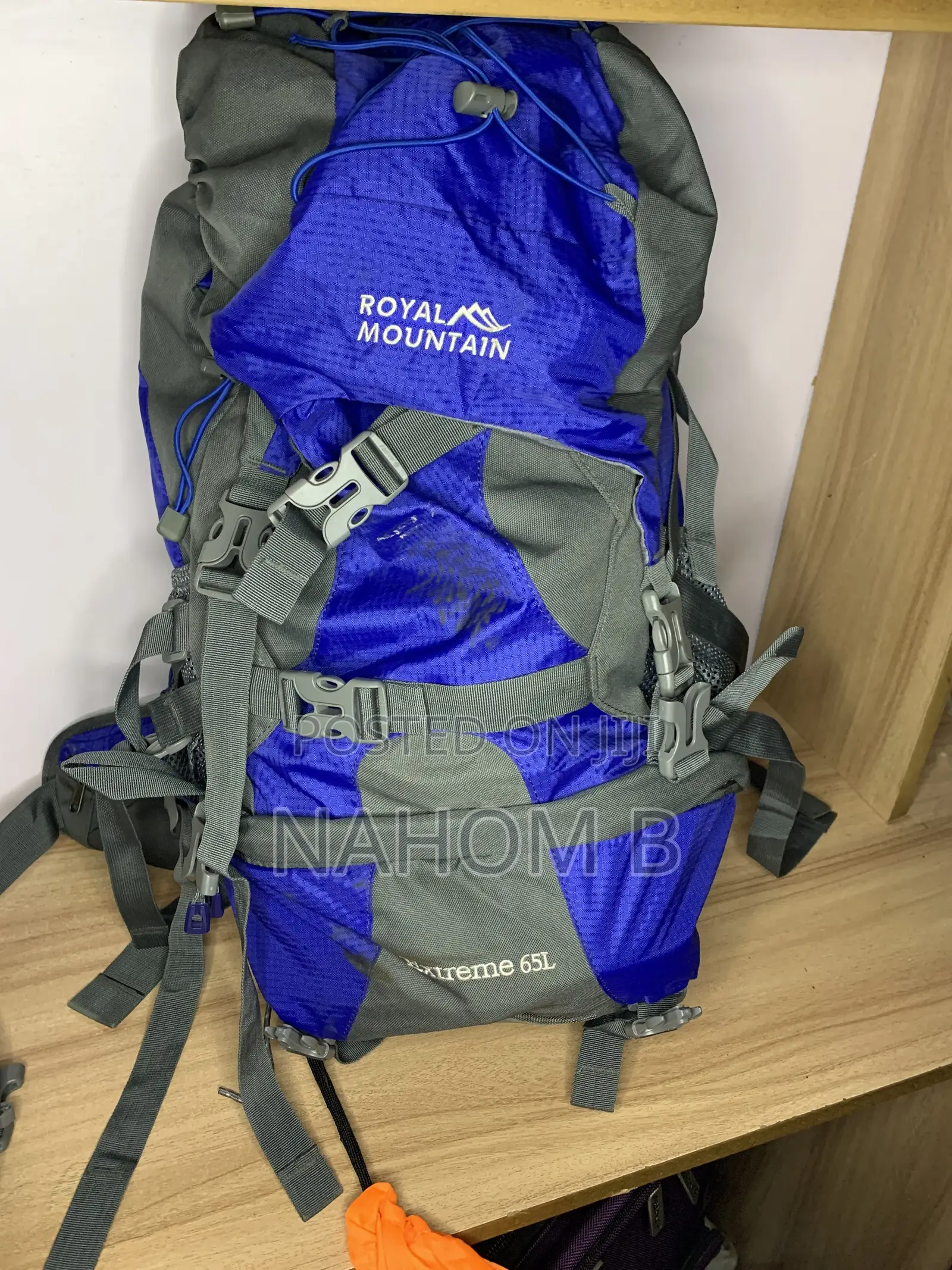 Blue and Gray Hiking Backpack