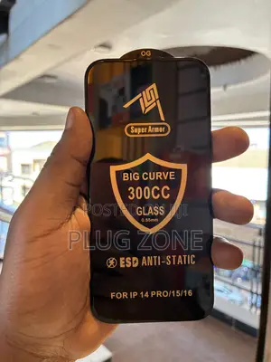 Big Curve Screen Guard