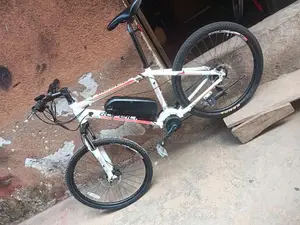Bofeili Mid-Drive Electric Bike
