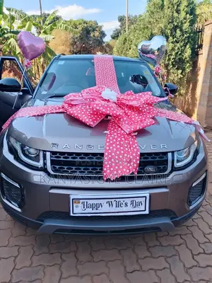 Car Decoration in Kampala