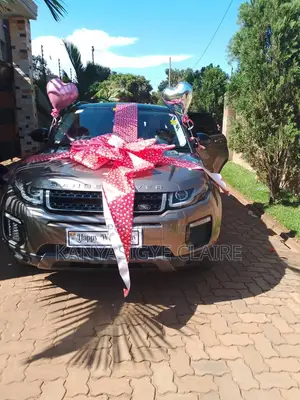 Car Decoration in Kampala