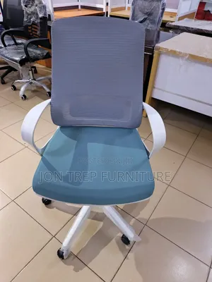 Executive Office Chair Mesh Adjustable