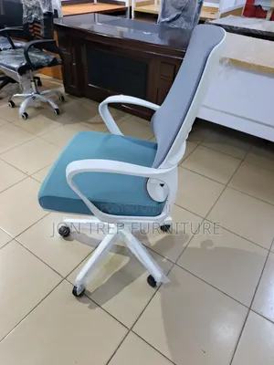 Executive Office Chair Mesh Adjustable