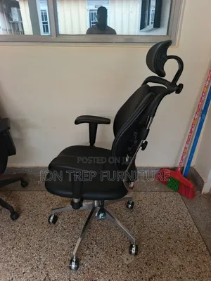 Egonomic Office Chair Adjustable