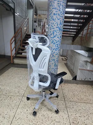 Othopedic Office Chair Adjustable
