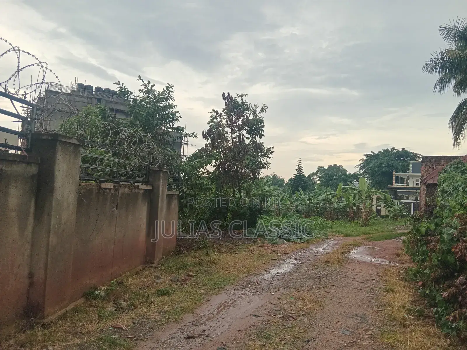 100ft by 100ft Land With Ready Title at Hand for Sale