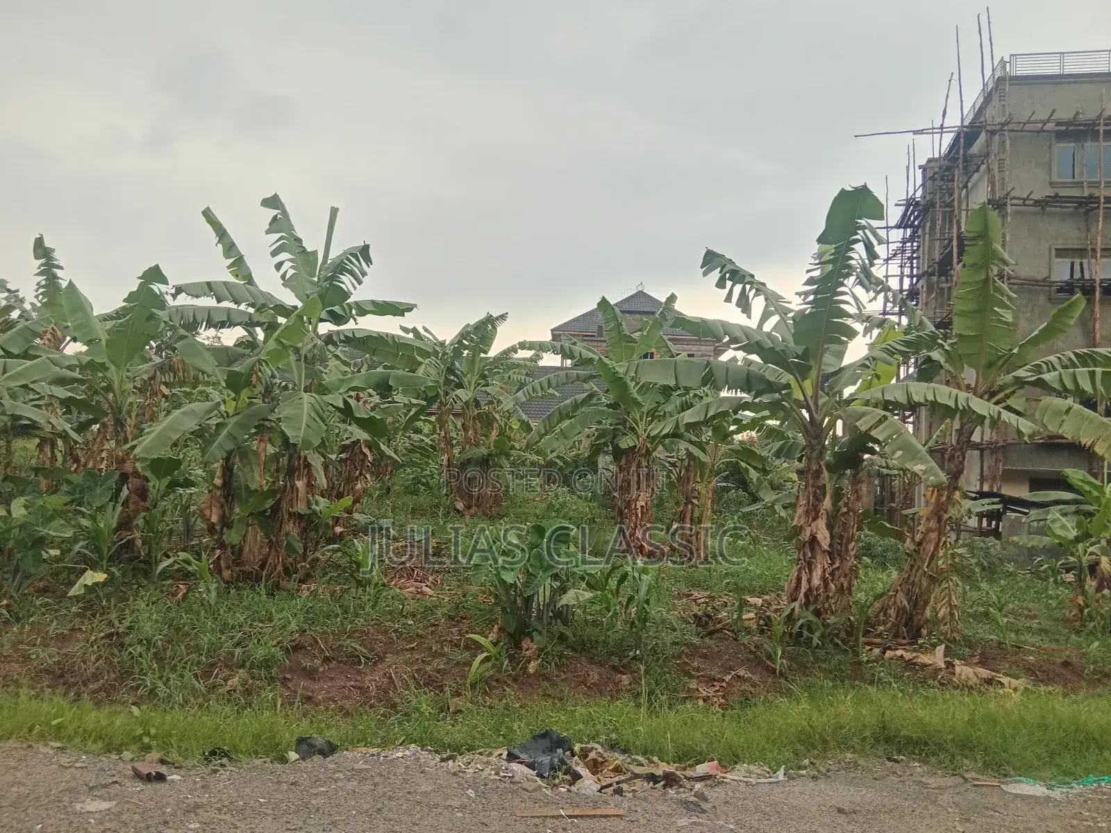 100ft by 100ft Land With Ready Title at Hand for Sale