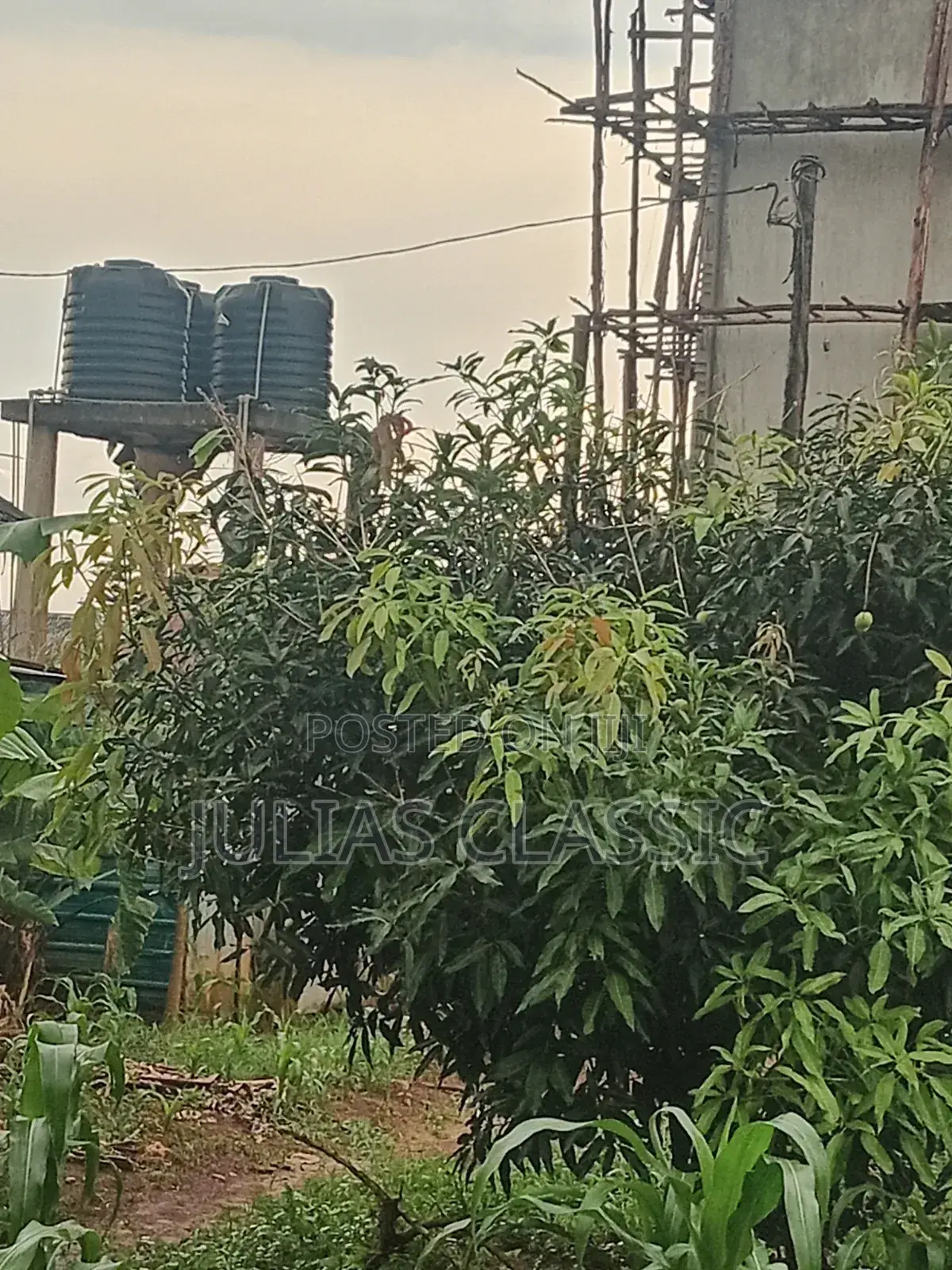 100ft by 100ft Land With Ready Title at Hand for Sale