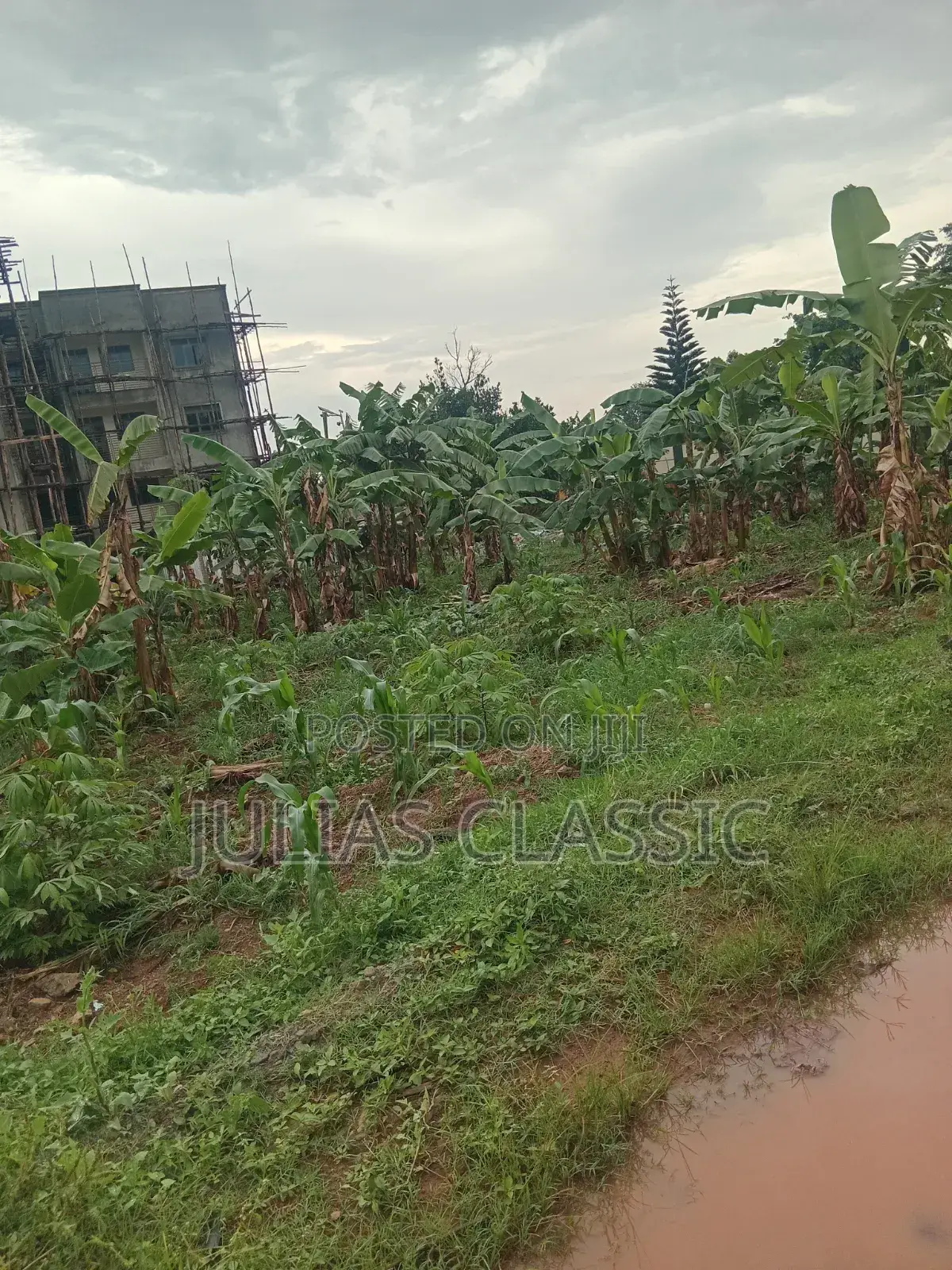 100ft by 100ft Land With Ready Title at Hand for Sale