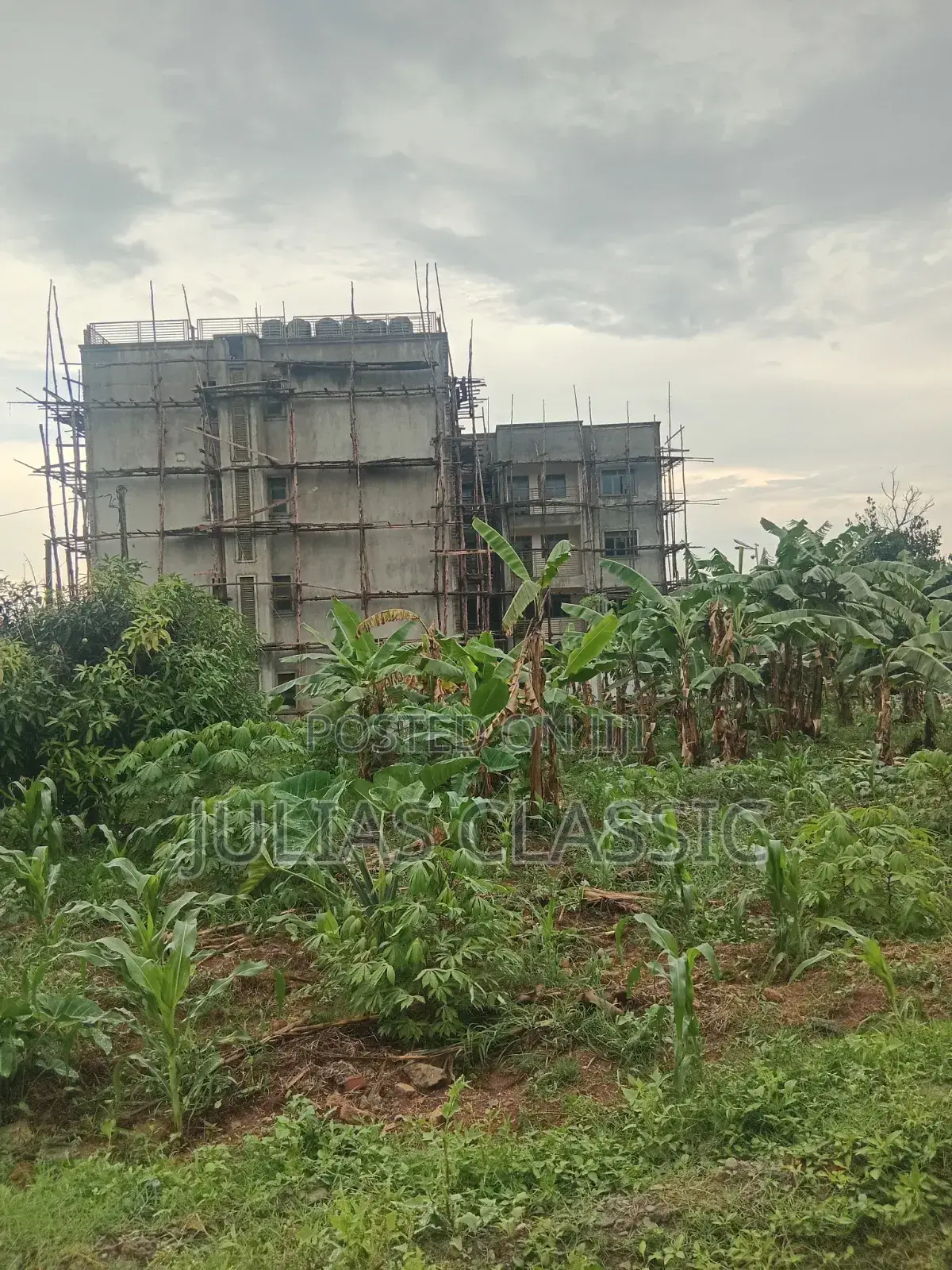 100ft by 100ft Land With Ready Title at Hand for Sale