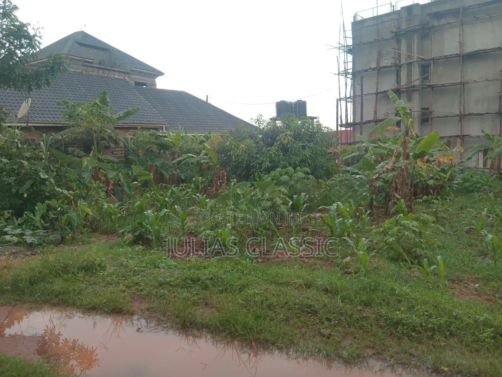 100ft by 100ft Land With Ready Title at Hand for Sale