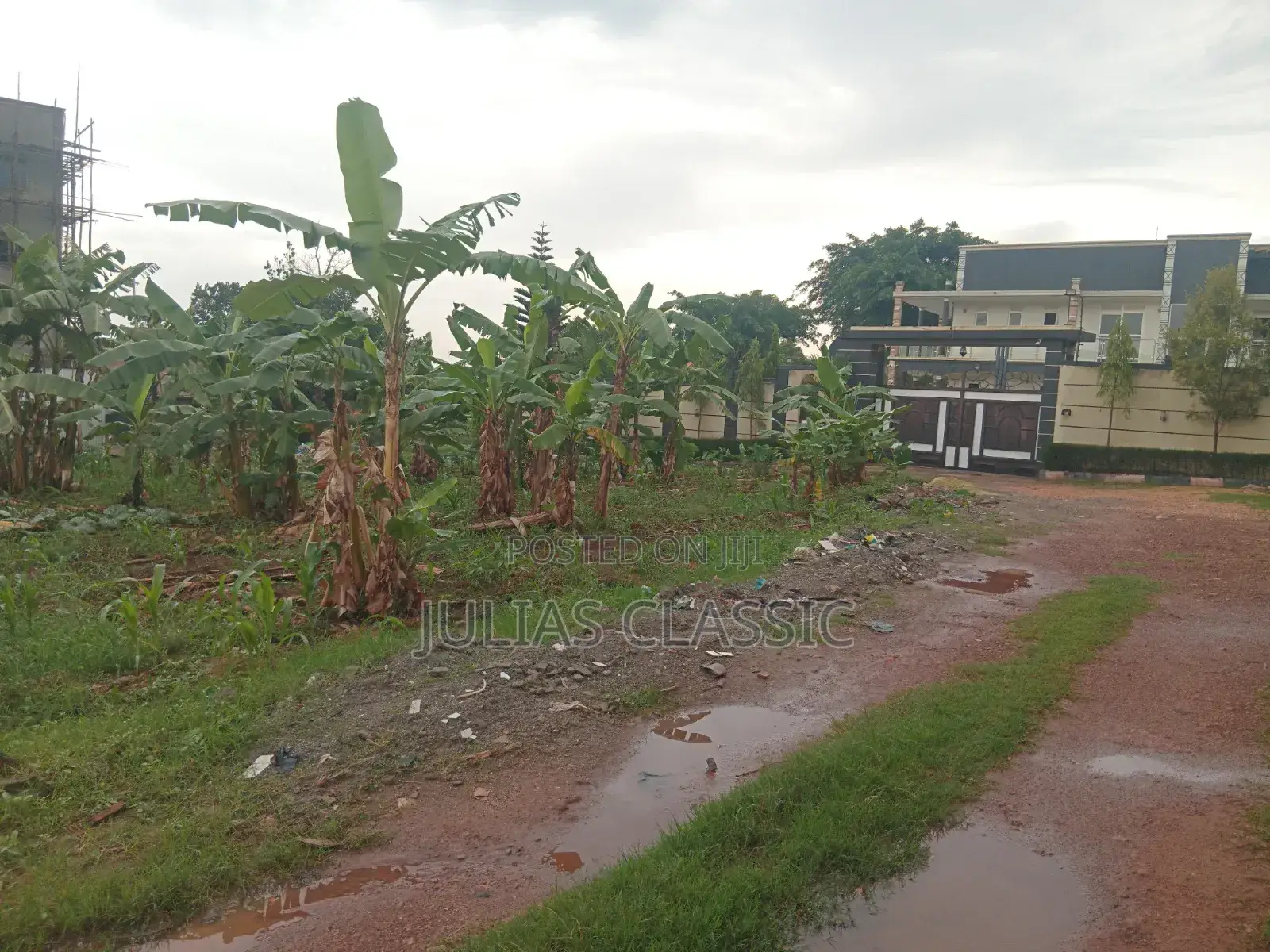 100ft by 100ft Land With Ready Title at Hand for Sale