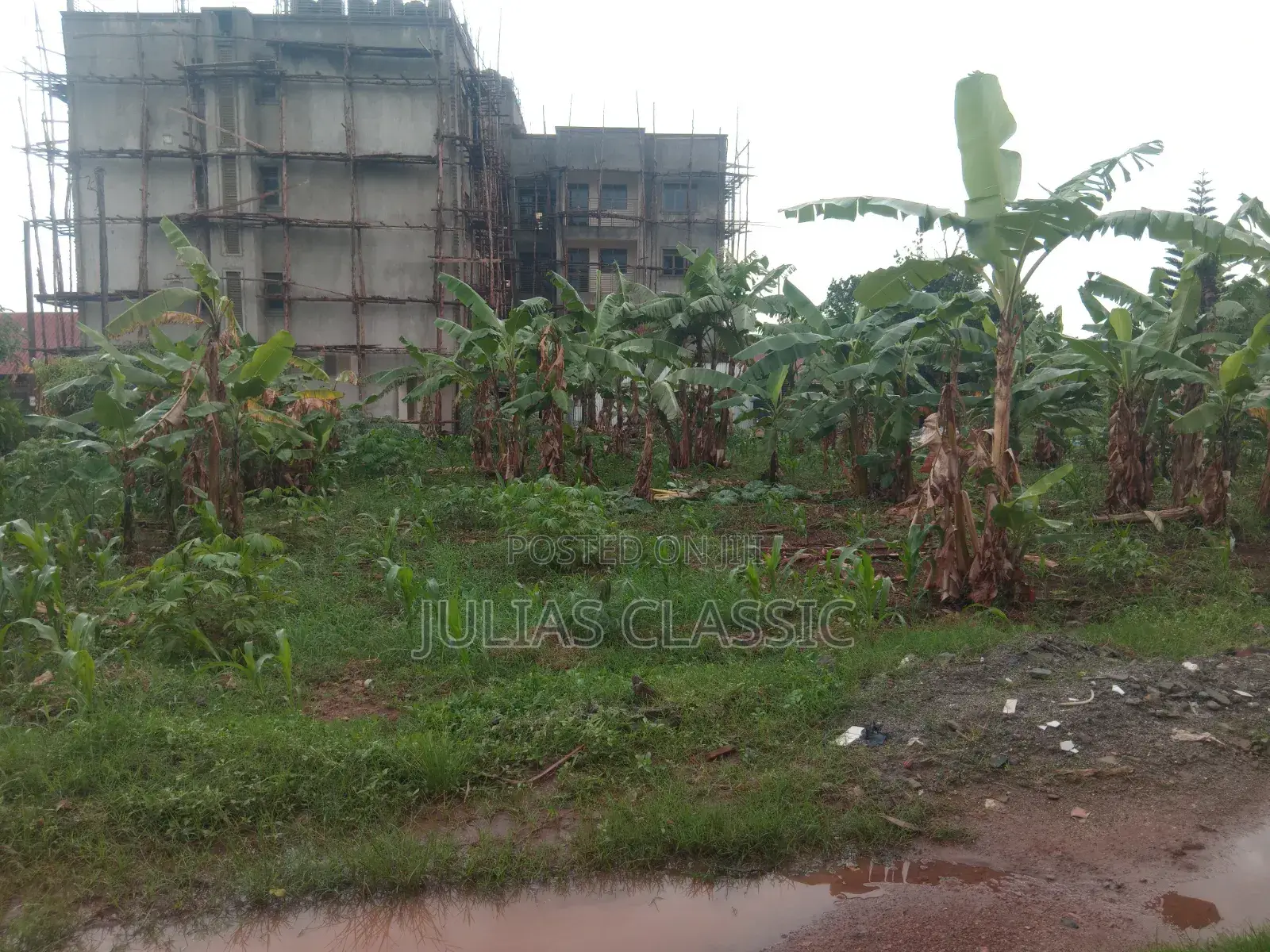 100ft by 100ft Land With Ready Title at Hand for Sale