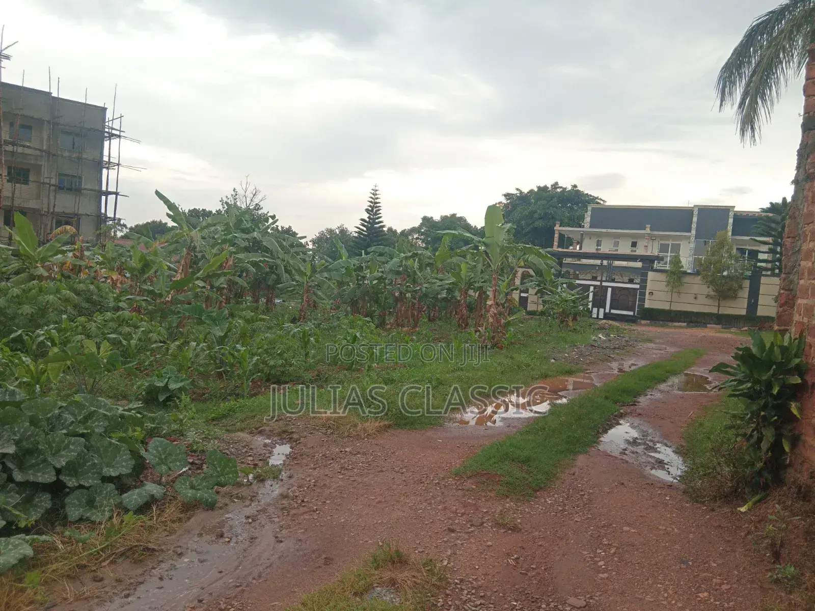 100ft by 100ft Land With Ready Title at Hand for Sale