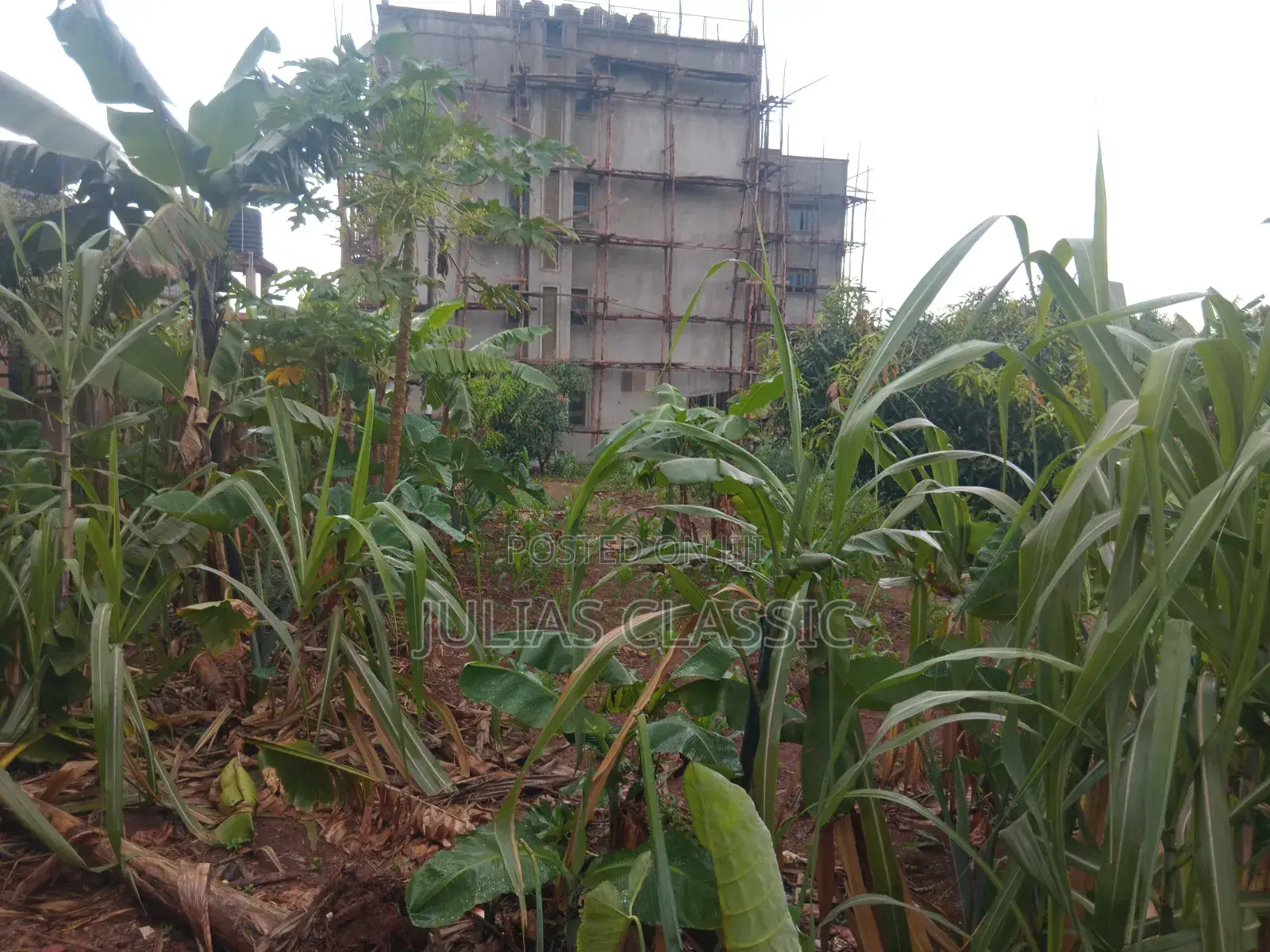 100ft by 100ft Land With Ready Title at Hand for Sale