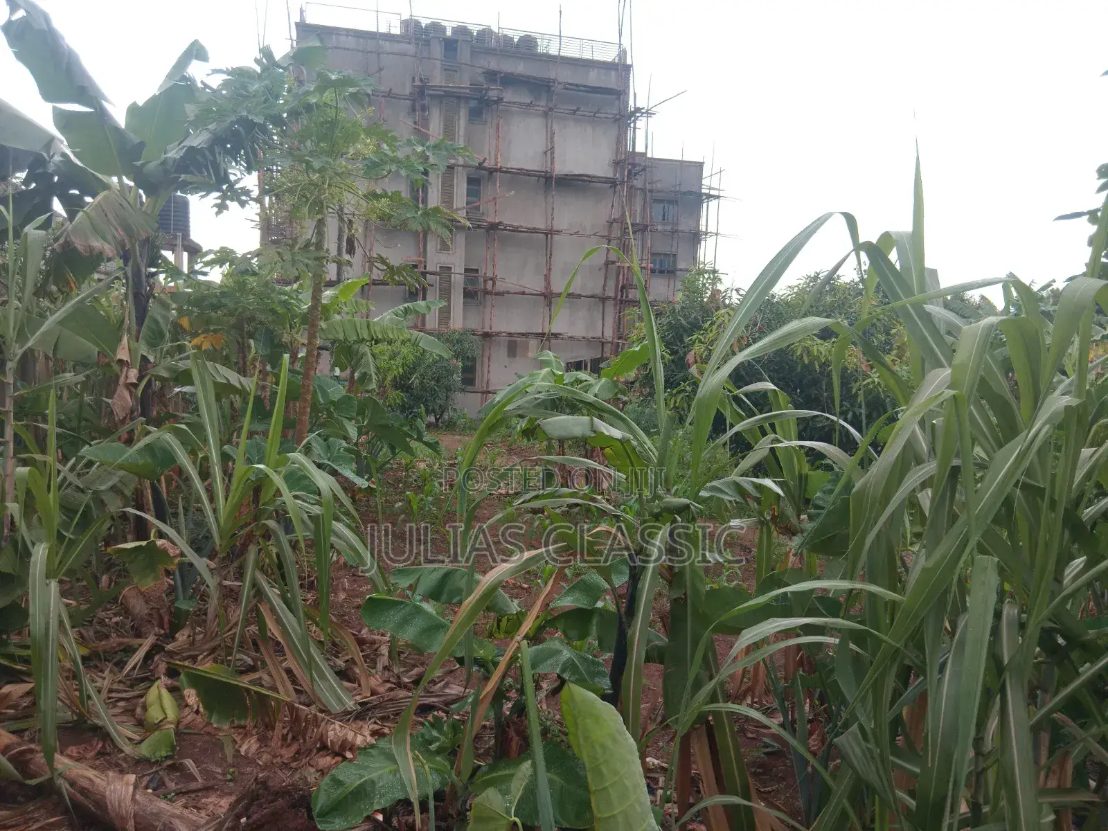 100ft by 100ft Land With Ready Title at Hand for Sale