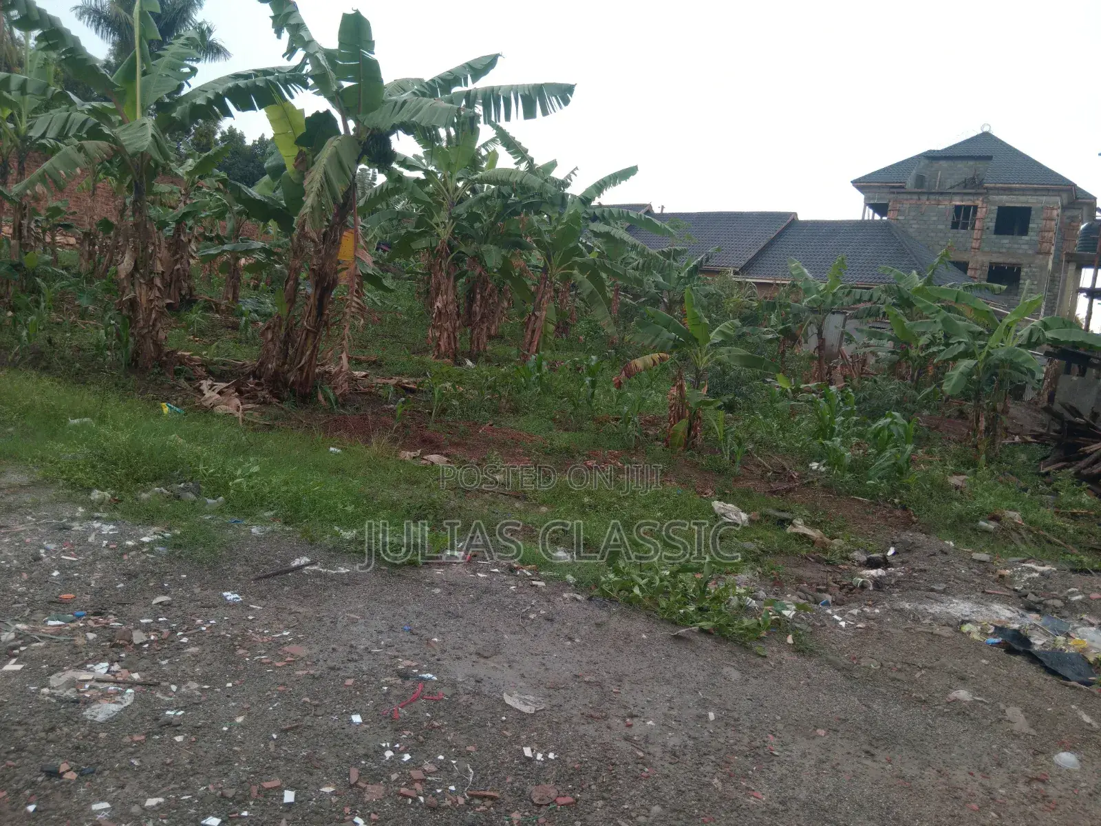 100ft by 100ft Land With Ready Title at Hand for Sale