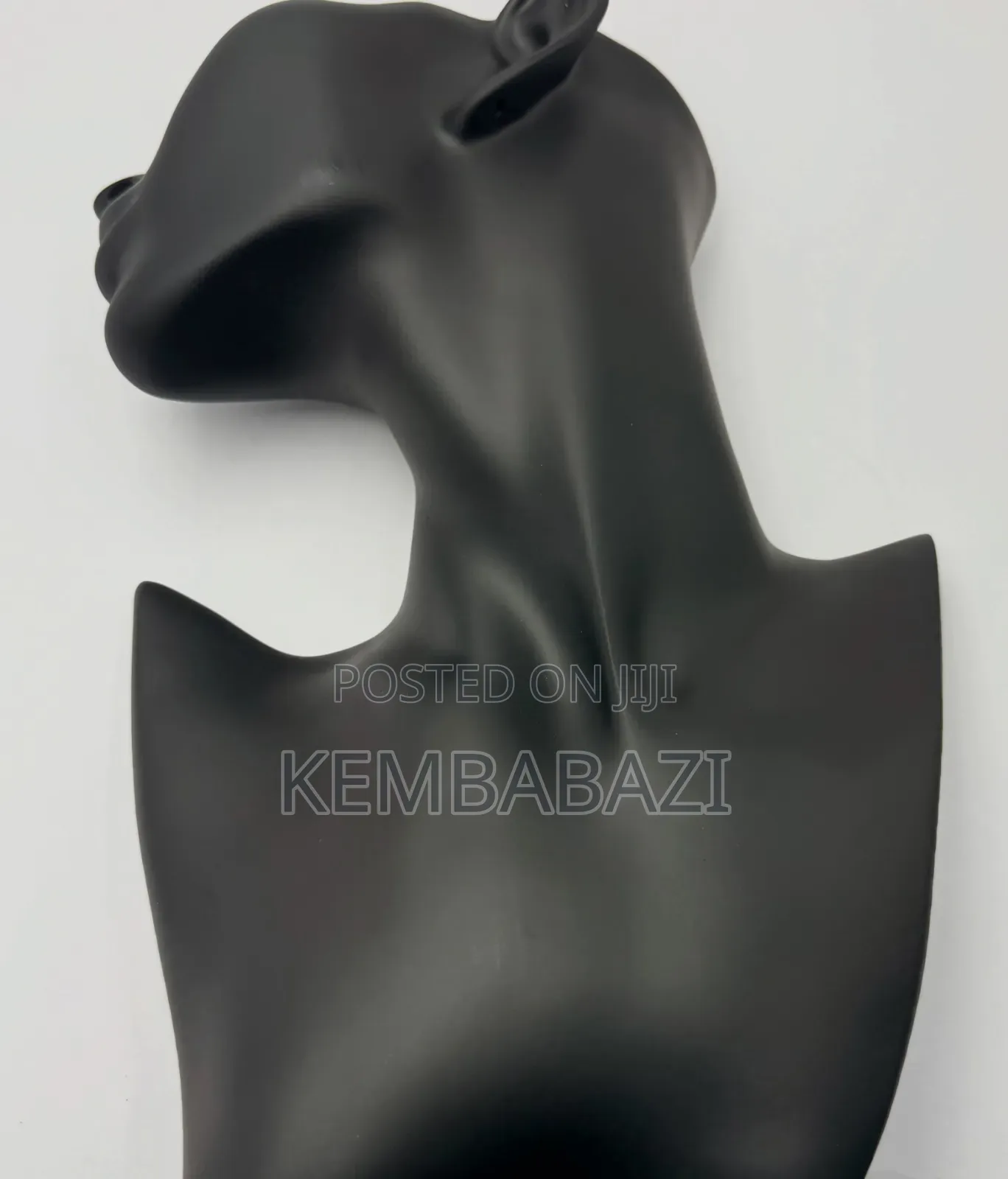 Necklace, Earrings Display Dummies