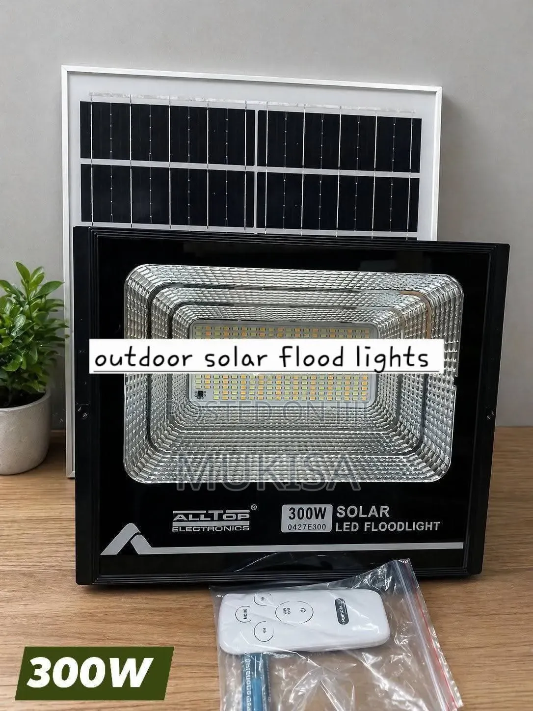 Solar Outdoor Floos Lights