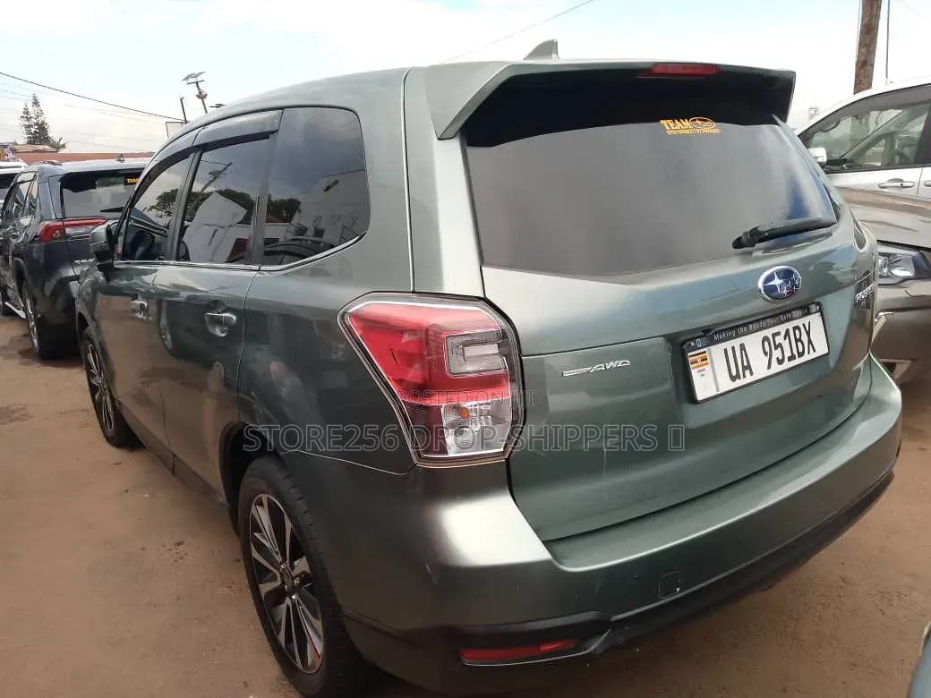 Subaru Forester 2014 Green