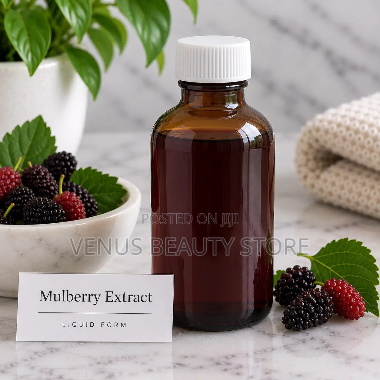 Mulberry Extract 15ml