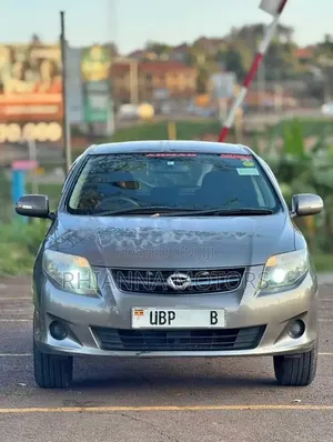 Toyota Corolla Fielder 2010 Gray