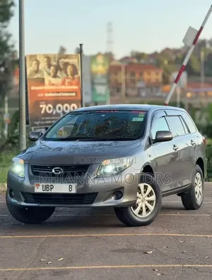 Toyota Corolla Fielder 2010 Gray
