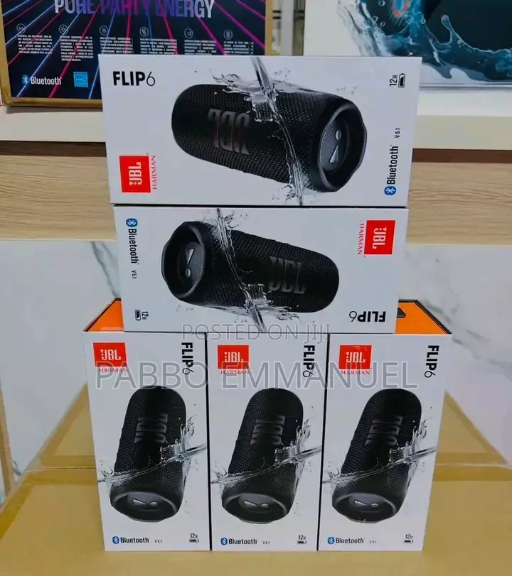 JBL Dare to Music Flip 6 Speaker