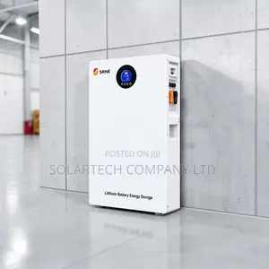 SRNE Heavy Duty 10.49kWh 51.2V Lithium Battery With BMS