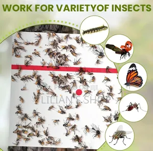 Trap Expert Flying Insect Glue Sticker