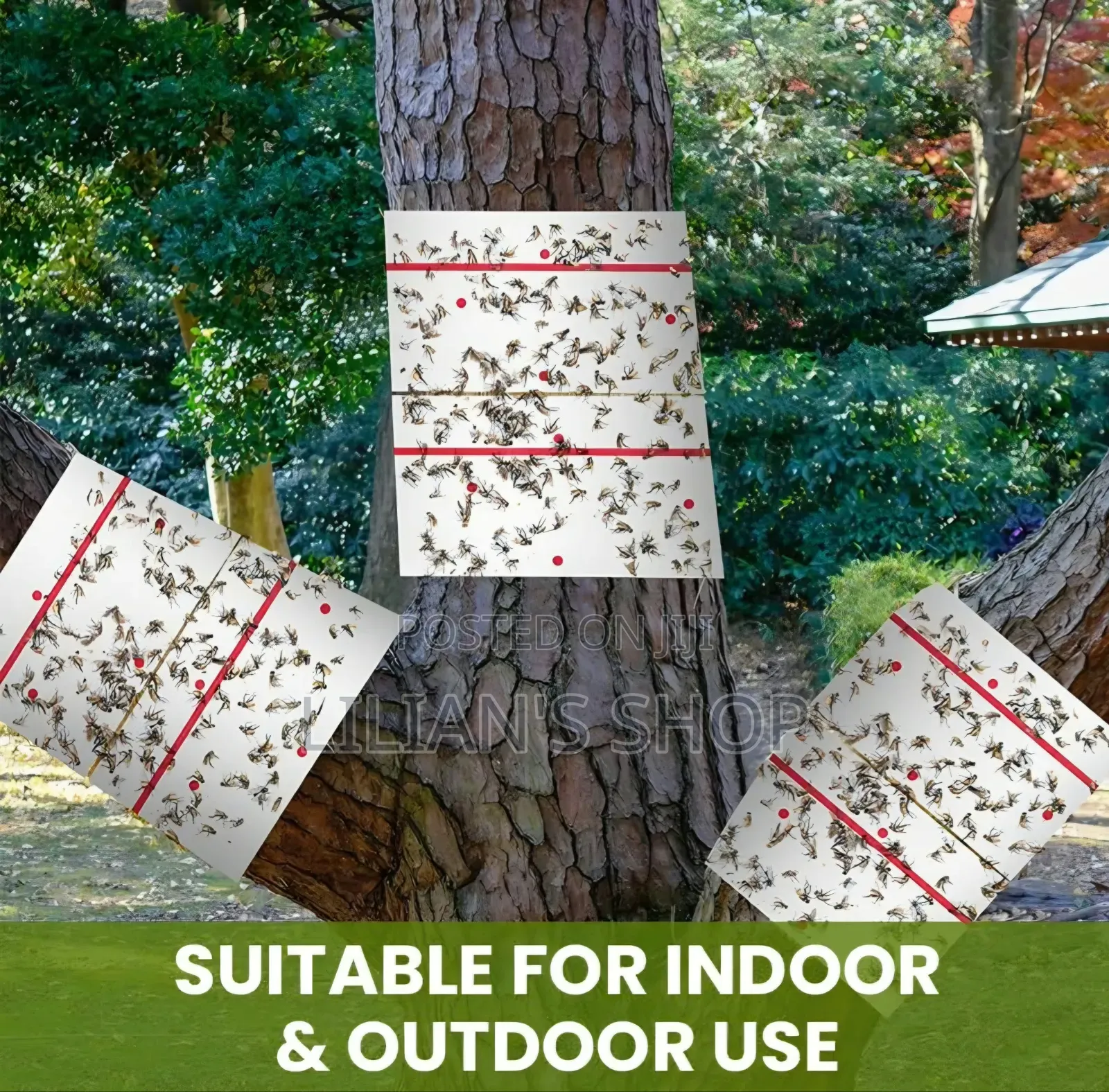 Trap Expert Flying Insect Glue Sticker