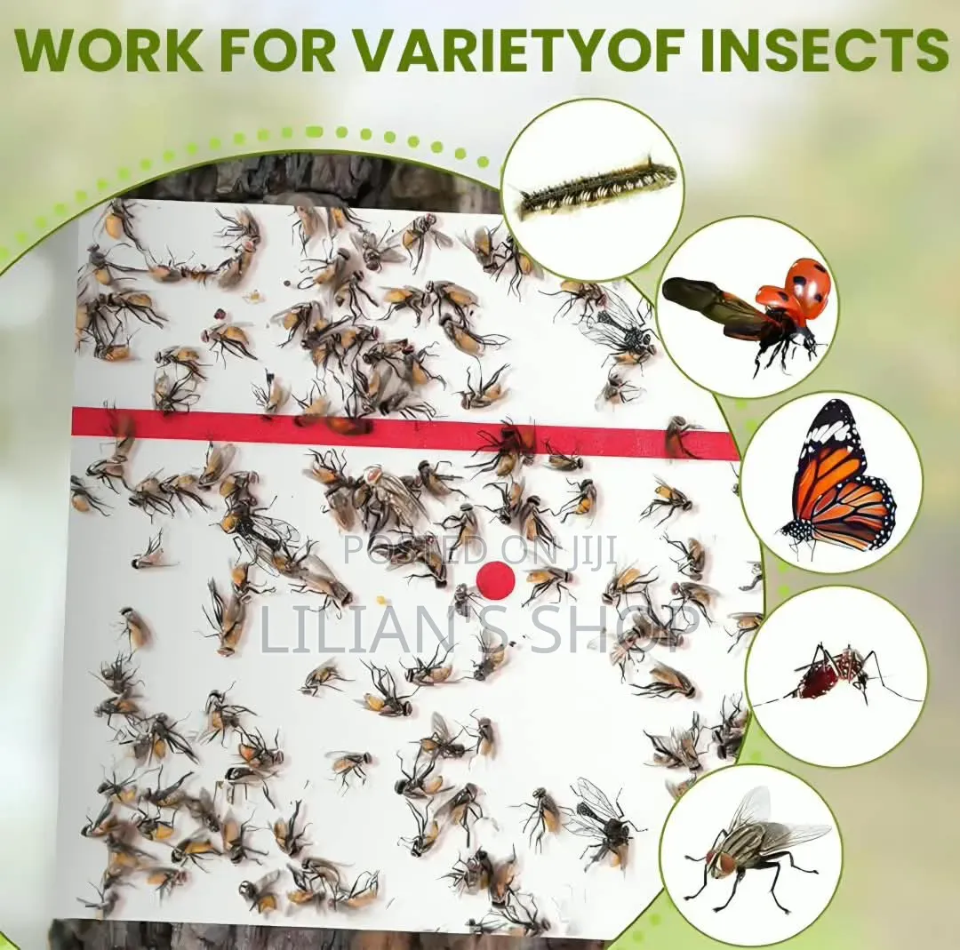 Trap Expert Flying Insect Glue Sticker
