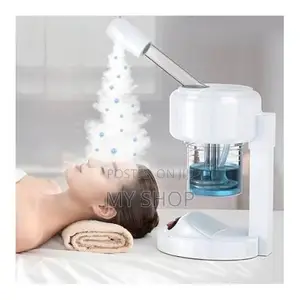 Portable Facial Steamer