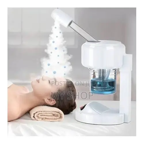Portable Facial Steamer