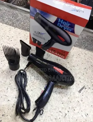 Professional Hair Dryer in Black,