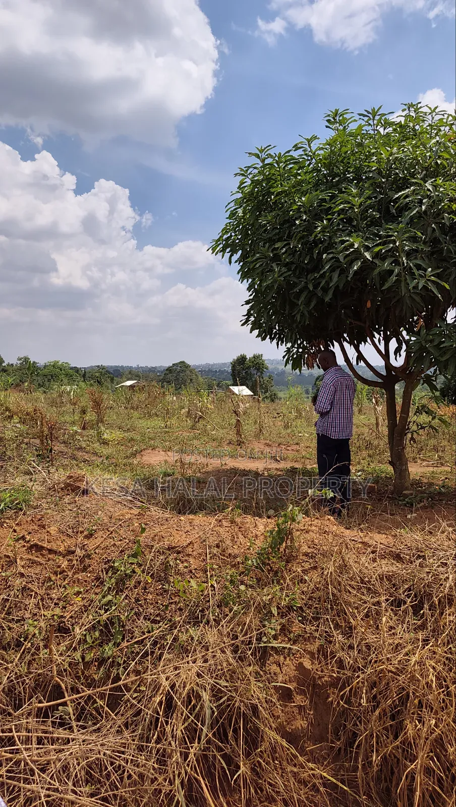 Good Titled 75 Decimals for Sale at Kabonge Touching Main Road At