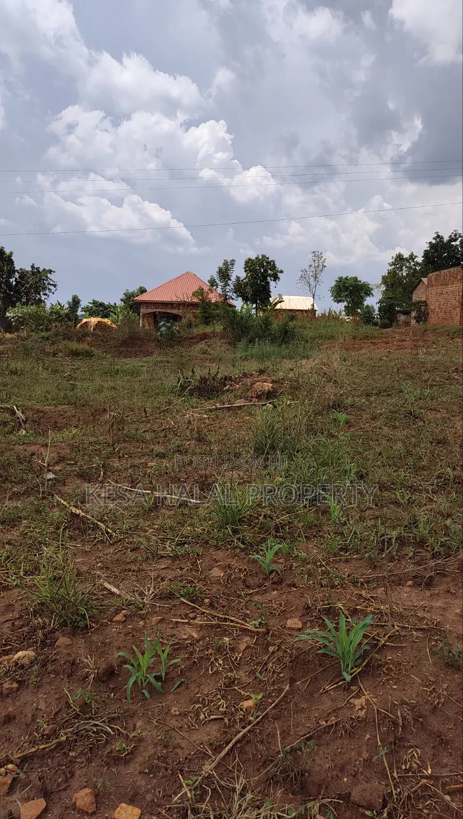 Good Titled 75 Decimals for Sale at Kabonge Touching Main Road At