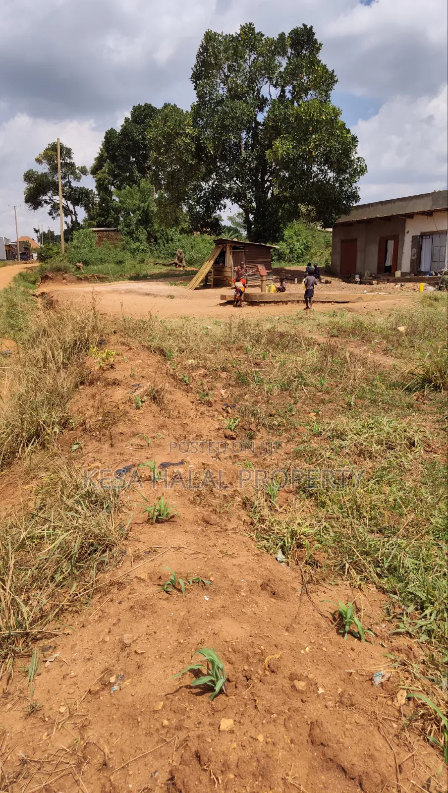 Good Titled 75 Decimals for Sale at Kabonge Touching Main Road At
